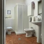 Papavero Rosso